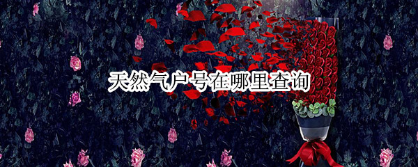 天然气户号在哪里查询 网上怎么查询天然气户号