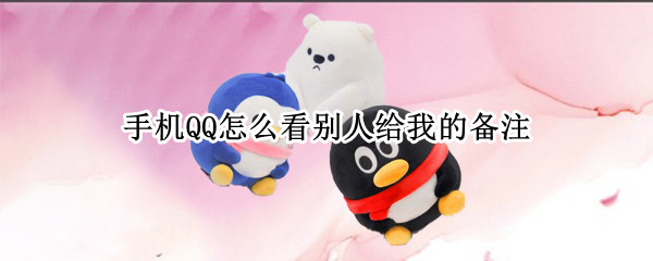 手机QQ怎么看别人给我的备注 手机qq怎么看别人给我的备注人