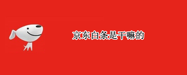 京东白条是干嘛的 京东白条是干嘛的?可以激活吗