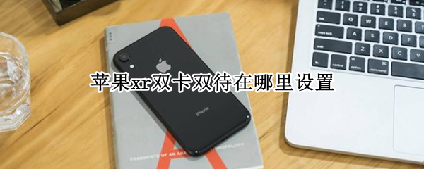 苹果xr双卡双待在哪里设置（苹果xr双卡双待在哪里设置接受短信）