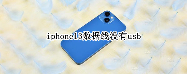 iphone13数据线没有usb iphone13数据线没有usb怎么连接车载