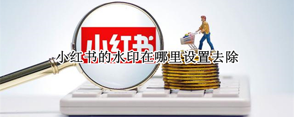 小红书的水印在哪里设置去除 小红书在哪里设置去掉水印