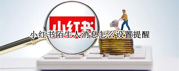 小红书陌生人消息怎么设置提醒 小红书陌生人消息怎么设置提醒功能