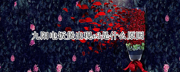 九阳电饭煲出现e3是什么原因 九阳电饭煲总是出现e3