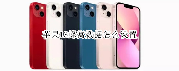 苹果13蜂窝数据怎么设置 苹果13蜂窝数据怎么设置5G