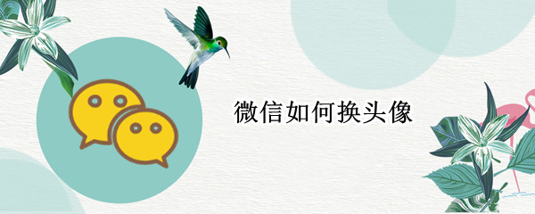 微信如何换头像 微信如何换头像照片