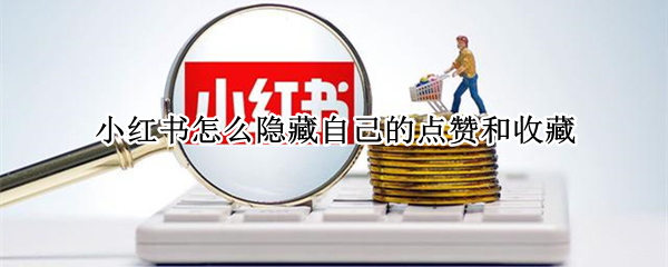 小红书怎么隐藏自己的点赞和收藏（小红书怎么把自己的点赞隐藏）