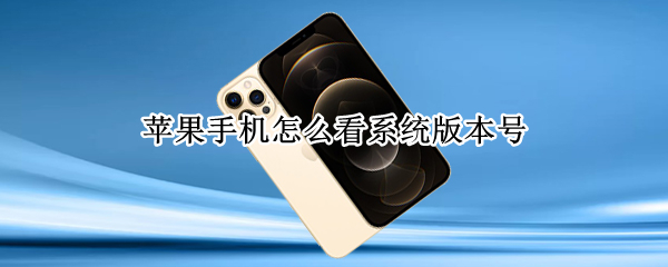 苹果手机怎么看系统版本号（苹果手机怎么查看系统版本号）