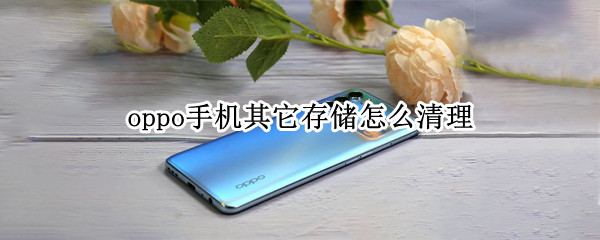oppo手机其它存储怎么清理（oppo手机其他储存怎么清理）