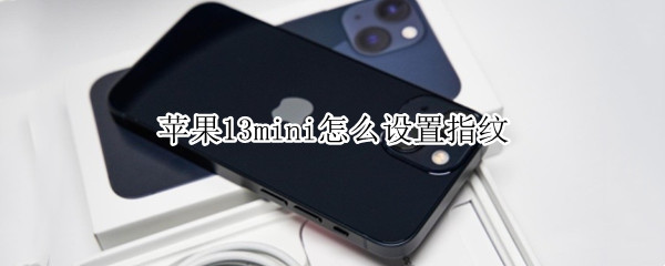 苹果13mini怎么设置指纹 苹果13mini怎么设置指纹支付
