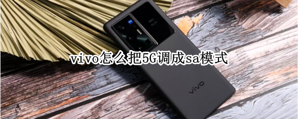 vivo怎么把5G调成sa模式（vivo5g手机sa怎么设置）