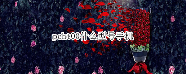 peht00什么型号手机（peem00是什么型号手机）