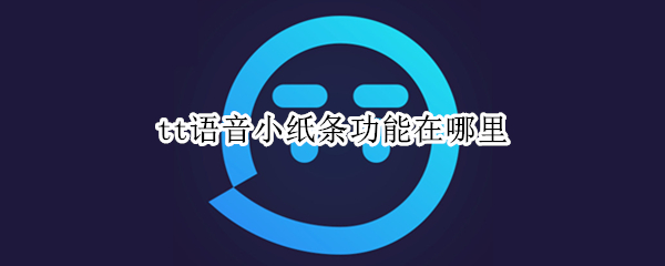 tt语音小纸条功能在哪里 tt语音小纸条怎么打开