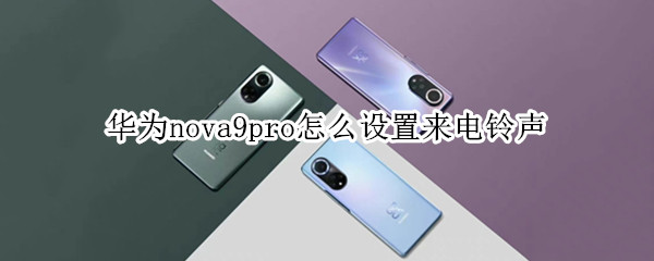 华为nova9pro怎么设置来电铃声 华为nova8pro怎么设置来电铃声