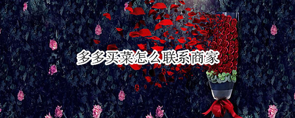 多多买菜怎么联系商家 多多买菜怎么找店家