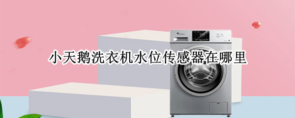 小天鹅洗衣机水位传感器在哪里 小天鹅洗衣机水位传感器在哪里买