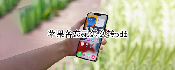 苹果备忘录怎么转pdf（苹果备忘录怎么转到本机）