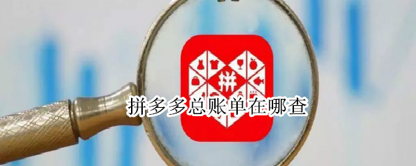 拼多多总账单在哪查（淘宝总账单在哪查）