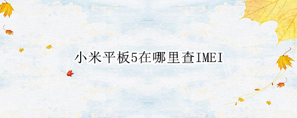 小米平板5在哪里查IMEI 小米平板5在哪里查序列号