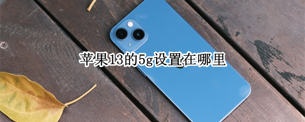 苹果13的5g设置在哪里 苹果13 5g设置在哪里