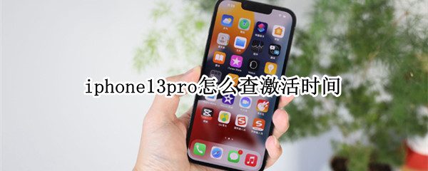 iphone13pro怎么查激活时间（iphone13pro激活时间查询）