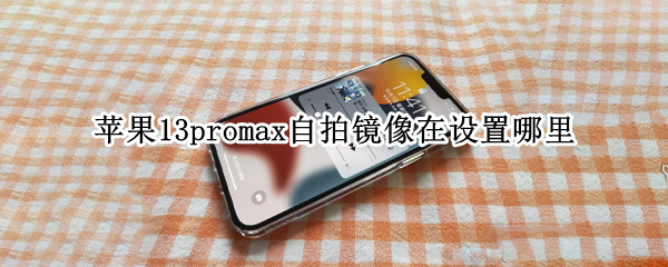 苹果13promax自拍镜像在设置哪里 苹果13promax摄像怎么设置