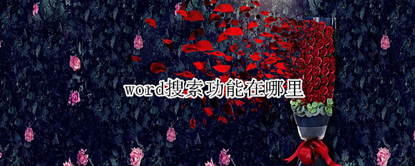 word搜索功能在哪里（word搜索功能在哪里打开）