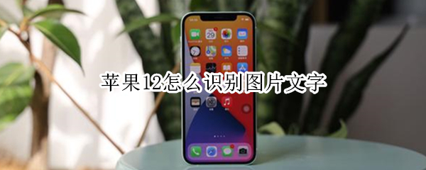 苹果12怎么识别图片文字 苹果12怎么识别图片文字和文字