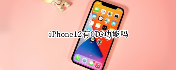 iPhone12有OTG功能吗 苹果11支持OTG功能吗
