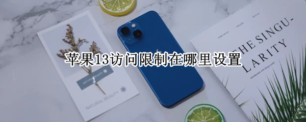 苹果13访问限制在哪里设置（苹果13访问限制在哪里设置微信加密）