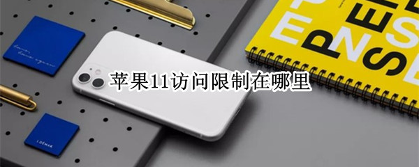 苹果11访问限制在哪里（苹果11访问限制在哪里关闭）