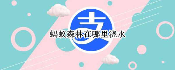 蚂蚁森林在哪里浇水（蚂蚁森林在哪里浇水）