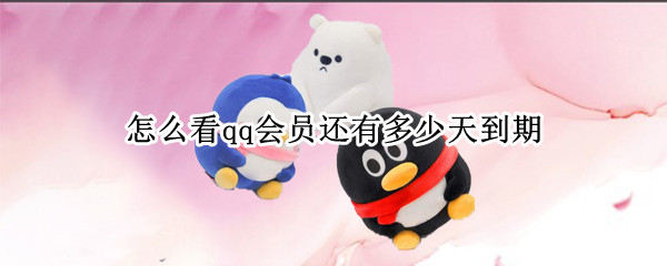 怎么看qq会员还有多少天到期 怎么看qq会员还有多少天到期2020