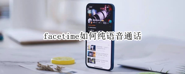 facetime如何纯语音通话（facetime怎么通话）