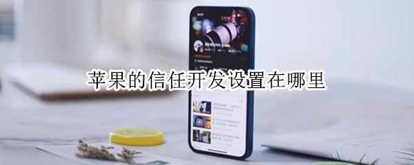 苹果的信任开发设置在哪里（苹果的信任开发设置在哪里打开）