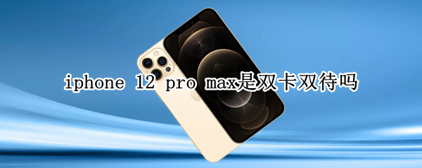 iphone 12 pro max是双卡双待吗