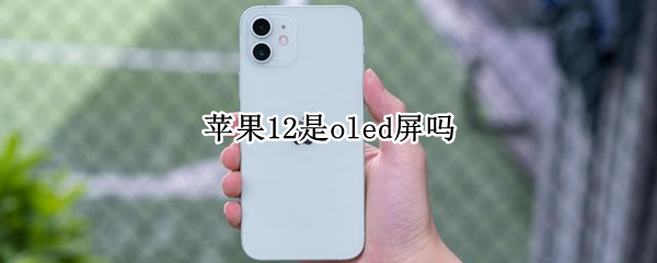 苹果12是oled屏吗 苹果12屏幕是oled