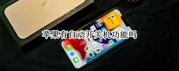 苹果有自动开关机功能吗（苹果可以自动开关机嘛）