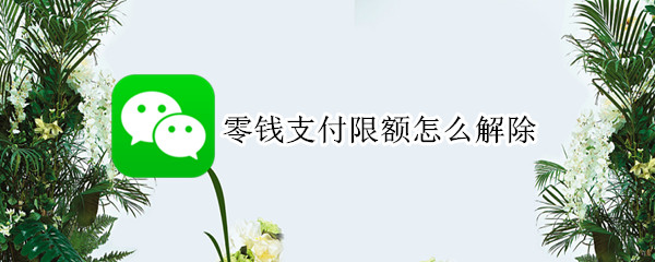 零钱支付限额怎么解除（微信提示达到零钱支付限额怎么解除）