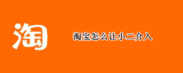淘宝怎么让小二介入（淘宝怎么让小二介入退款）