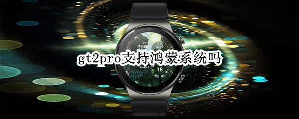 gt2pro支持鸿蒙系统吗（华为gt2pro支持鸿蒙系统吗）