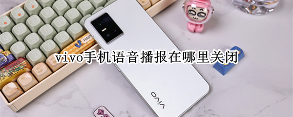 vivo手机语音播报在哪里关闭（vivo手机语音播报在哪里关闭）