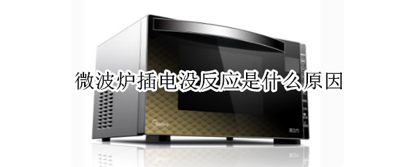 微波炉插电没反应是什么原因（微波炉插电没反应是什么原因造成的）