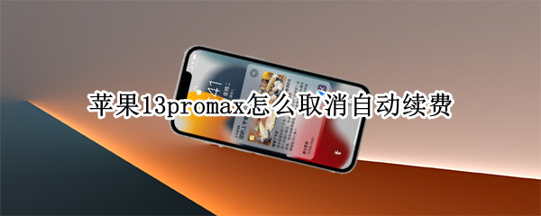 苹果13promax怎么取消自动续费（苹果11promax怎么取消自动续费）