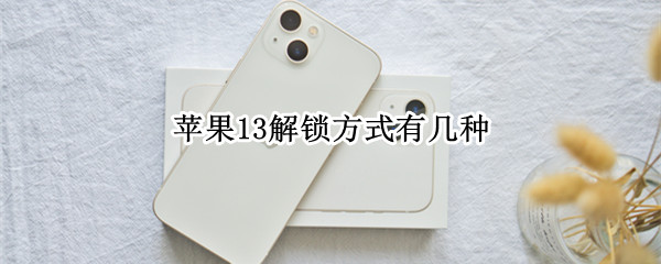 苹果13解锁方式有几种（苹果13解锁方式有几种图片）