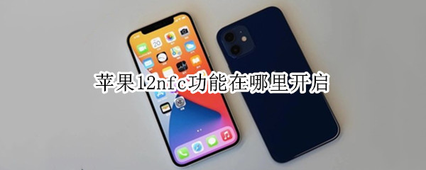 苹果12nfc功能在哪里开启（苹果11nfc功能在哪里开启）