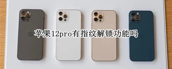 苹果12pro有指纹解锁功能吗 苹果12 pro有指纹解锁吗