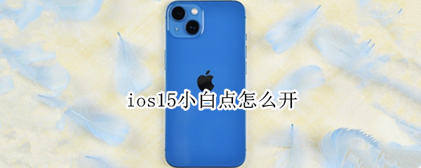 ios15小白点怎么开（ios13小白点怎么开）