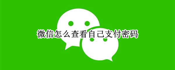 微信怎么查看自己支付密码 微信怎么查看支付密码修改记录