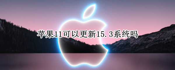 苹果11可以更新15.3系统吗 苹果11可以更新系统吗13.5.1